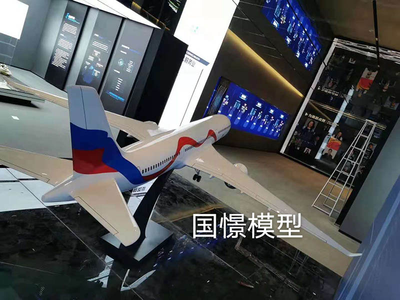 洛南县飞机模型