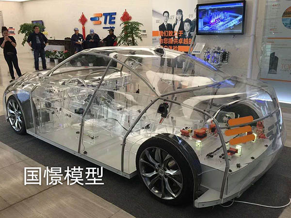 洛南县透明车模型